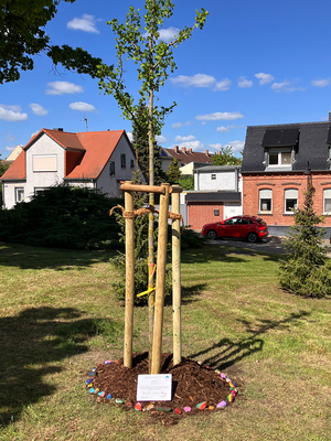Pflanzaktion im Rahmen der 17. Staßfurter Aktionstage