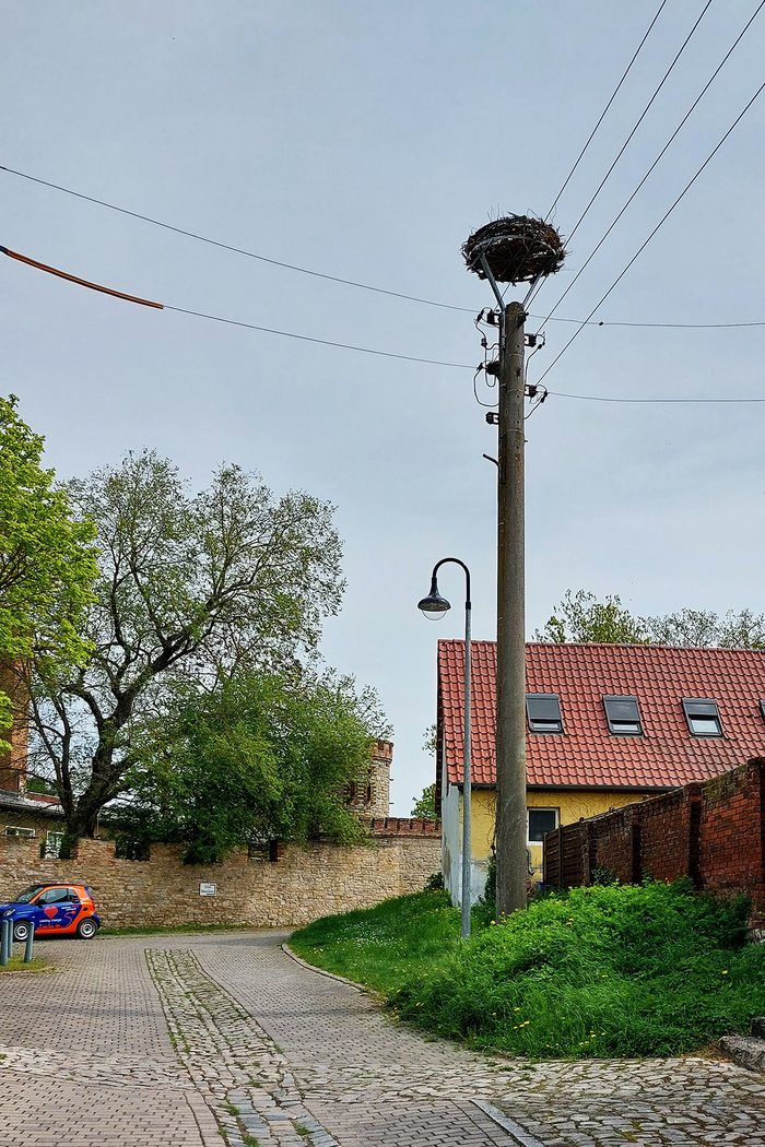 Storchenbau